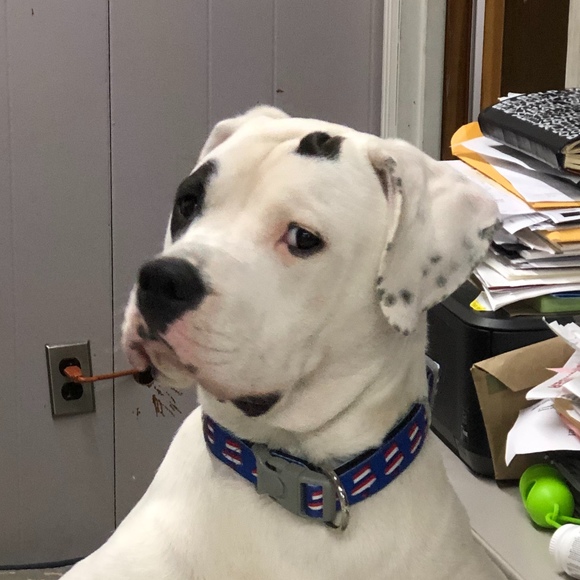 Meet your Posher, Kelly - Picture 1 of 1